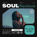 Soul Amplitude: Afropop + Latin Fusion